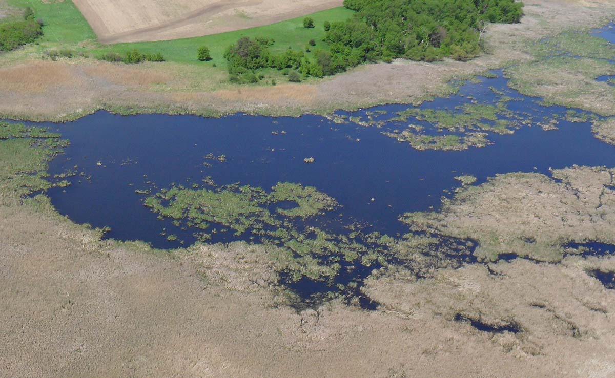 CF Industries Foundation Contributes $250,000 to Iowa Conservation